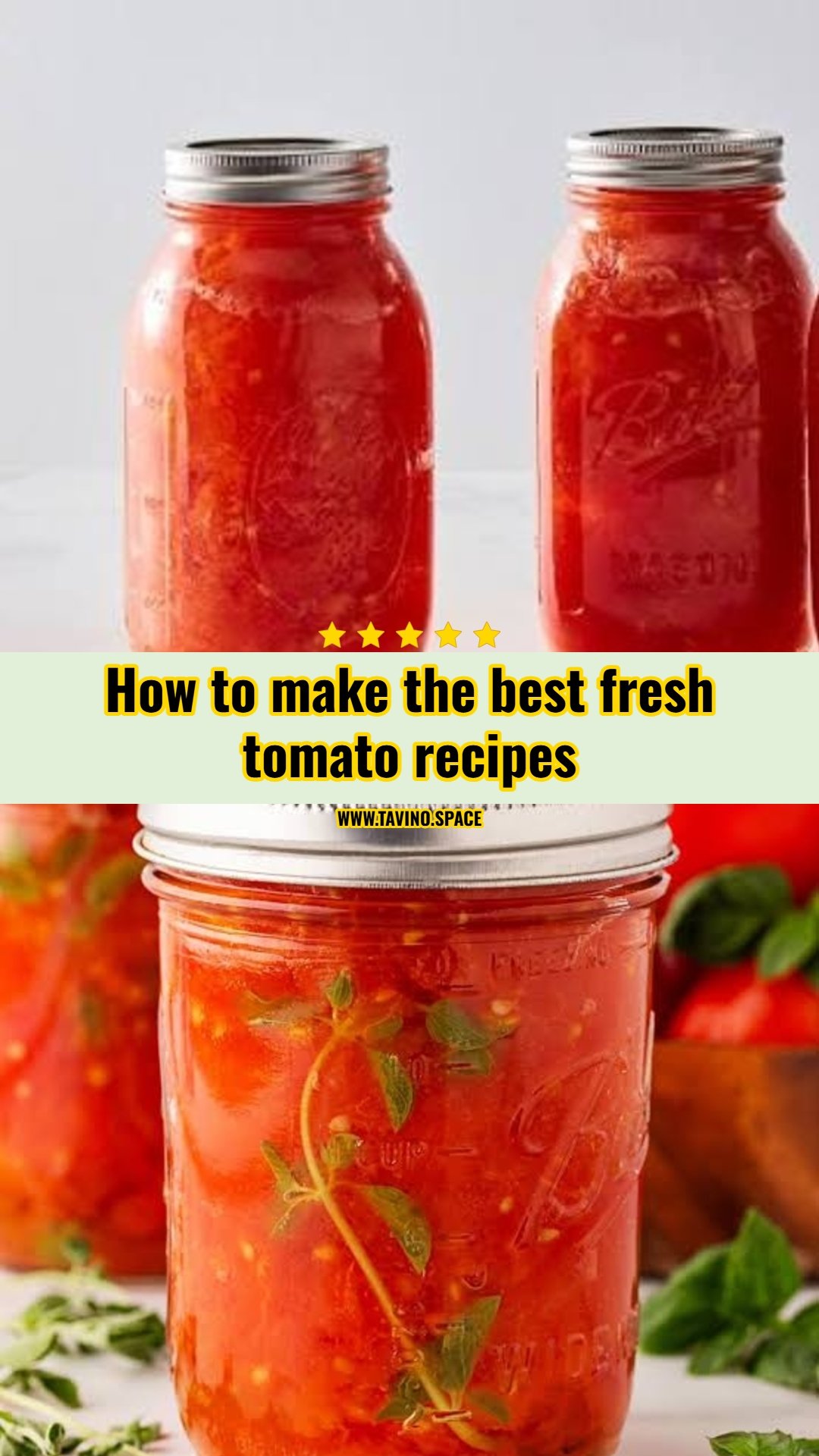 Best fresh tomato recipes for summer harvest