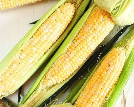How to Freeze Corn on the Cob the Easy Way suggested serving
