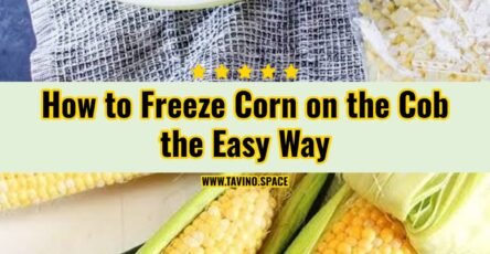 How to Freeze Corn on the Cob the Easy Way