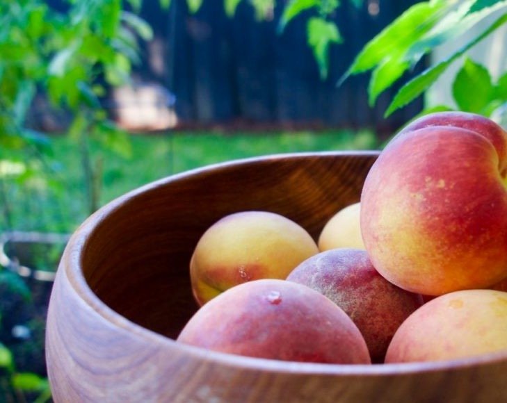 My Easy Method For Freezing Peaches top view