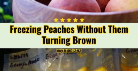 My Easy Method For Freezing Peaches