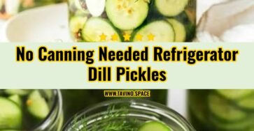 The Best Refrigerator Dill Pickles Ever