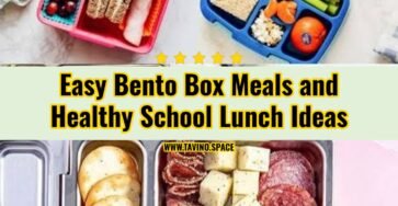 Bento Box Meals and Healthy School Lunch Ideas Kids Love