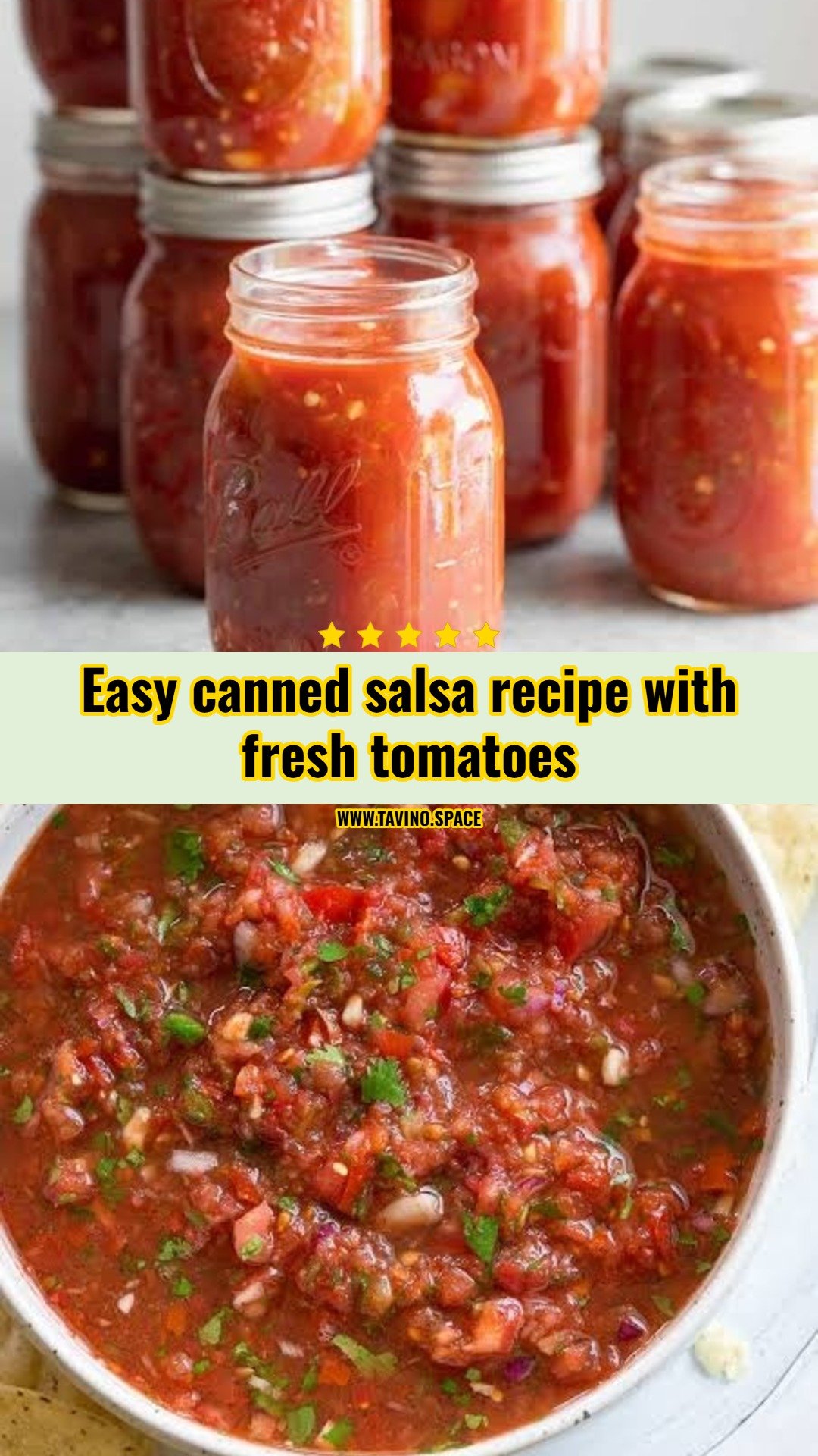 Best canned salsa recipe with fresh tomatoes