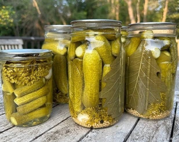 Easy Homemade Pickles You Will Make Every Year top view