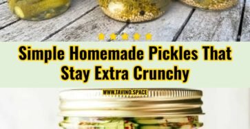 Easy Homemade Pickles You Will Make Every Year